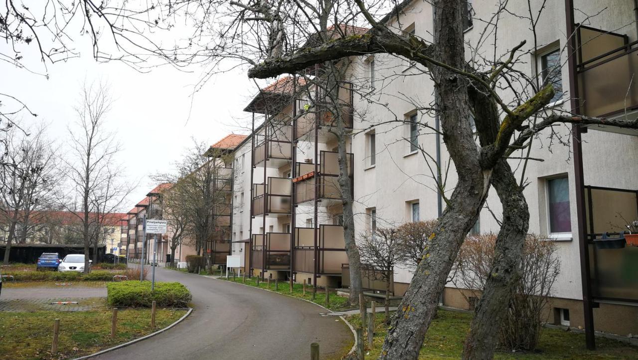 Apartment Am Suedpark メルゼブルク エクステリア 写真